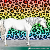 Horse Color:Gold Champagne Roan Dun Splash Tobiano Frame Appaloosa Rabicano 