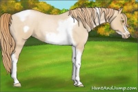 Horse Color:Red Dun Roan Pearl Tobiano Frame 