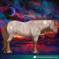 Horse Color:Red Roan 