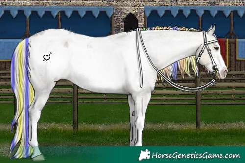 Horse Color:Painted White Spotted Silver Buckskin Roan Dun Frame Varnish