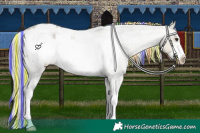 Horse Color:Painted White Spotted Silver Buckskin Roan Dun Frame Varnish 