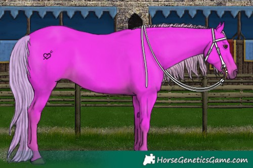 Horse Color:Watercolor Liver Chestnut 