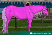 Horse Color:Watercolor Liver Chestnut 