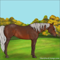 Horse Color:Silver Brown 