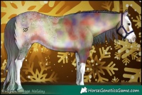 Horse Color:Nacre Bay Ice Onyx Splash 