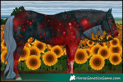 Horse Color:ERROR: UNKNOWN ANOMALY