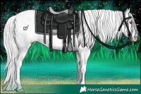 Horse Color:White Spotted Silver Brown Chinchilla Onyx Splash Varnish Rabicano 