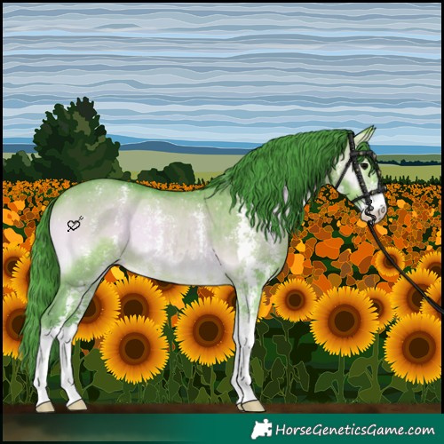 Horse Color:Watercolor Bay Onyx Sabino