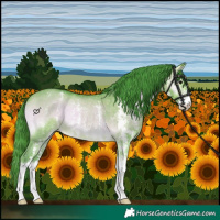 Horse Color:Watercolor Bay Onyx Sabino