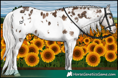 Horse Color:White Spotted Silver Black Ice Pearl Splash Near Leopard