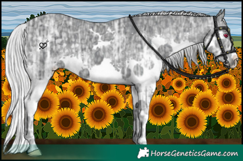 Horse Color:Silver Black Chinchilla Ice Splash 