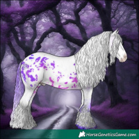 Horse Color:Watercolor Brown Sabino Splash Appaloosa 