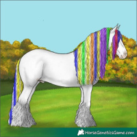 Horse Color:Painted Silver Buckskin Pearl Appaloosa 