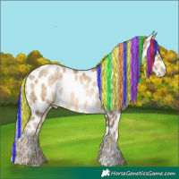Horse Color:Painted Silver Buckskin Pearl Appaloosa 