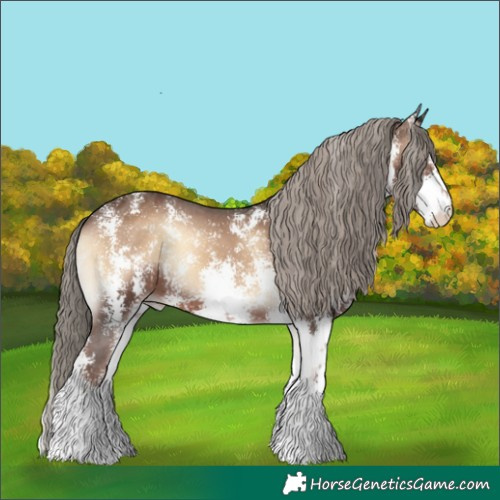 Horse Color:Liver Red Onyx Sabino Appaloosa 