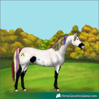 Horse Color:ERROR: UNKNOWN ANOMALY