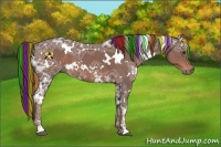 Horse Color:Painted White Spotted Liver Chestnut Ice 