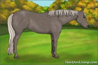 Horse Color:Silver Black 
