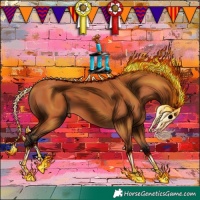 Horse Color:Bay 