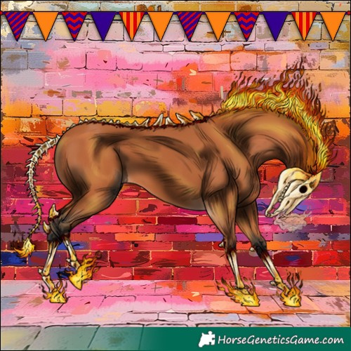Horse Color:Bay 