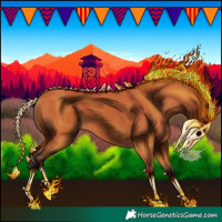 Horse Color:Bay 
