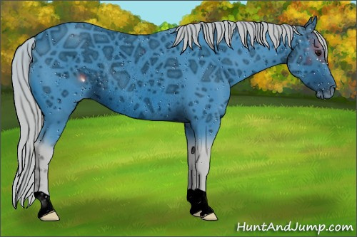 Horse Color:ERROR: UNKNOWN ANOMALY
