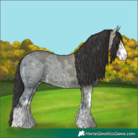 Horse Color:Smoky Grullo Ice Sabino 