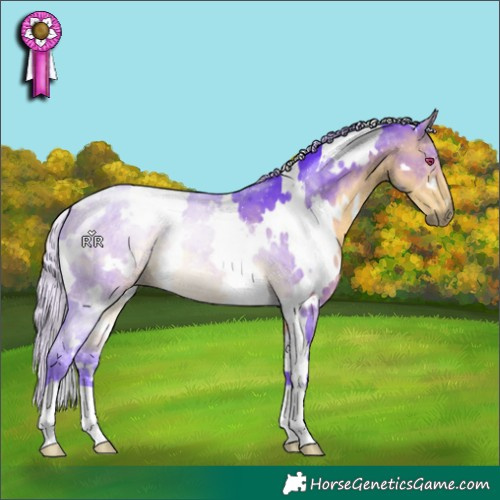 Horse Color:Watercolor White Spotted Silver Buckskin Chinchilla 