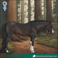 Horse Color:Brown Sabino Tobiano Rabicano 