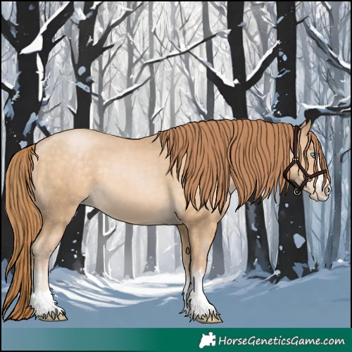 Horse Color:Buckskin Pearl 