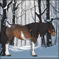 Horse Color:Buckskin Tobiano