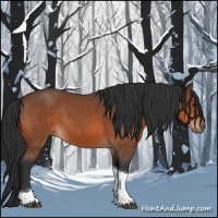 Horse Color:Bay Tobiano 