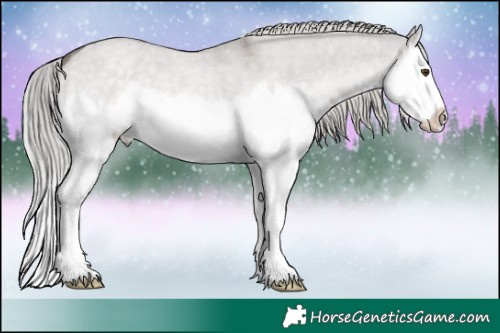 Horse Color:Platinum Chocolate Palomino Roan Dun Splash