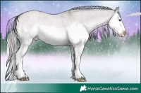 Horse Color:Platinum Chocolate Palomino Roan Dun Splash