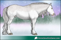 Horse Color:Platinum Chocolate Palomino Roan Dun Splash