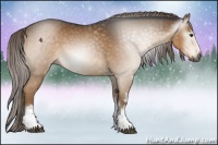 Horse Color:Gray White Spotted Chocolate Palomino