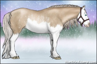 Horse Color:Chocolate Palomino Pearl Splash Rabicano