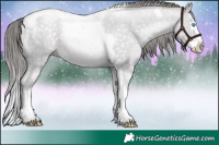 Horse Color:Platinum Buckskin Pearl Dun Splash Tobiano 