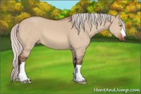 Horse Color:Silver Brown Dun