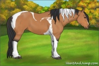 Horse Color:Bay Tobiano 
