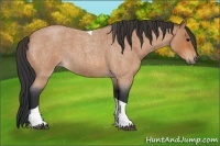 Horse Color:Bay Roan Tobiano 