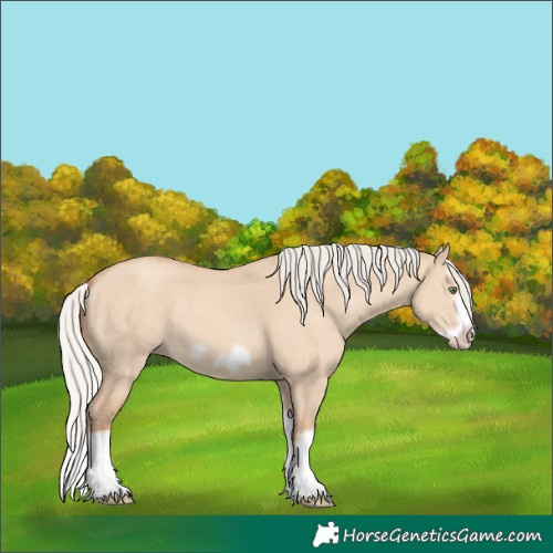 Horse Color:Silver Classic Champagne Dun Splash Frame