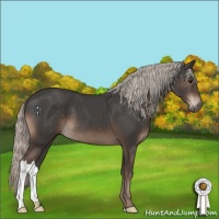 Horse Color:Silver Black 