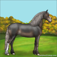 Horse Color:Silver Black 