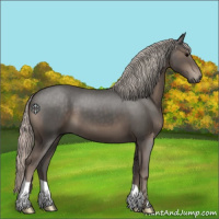 Horse Color:Silver Black 