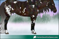 Horse Color:White Spotted Midnight Bay Ice 