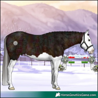 Horse Color:Midnight Bay Ice Splash 