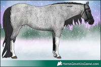 Horse Color:Midnight Grullo Ice Roan Tobiano 