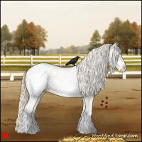 Horse Color:White Spotted Palomino Dun Appaloosa Rabicano 