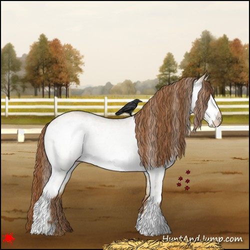 Horse Color:White Spotted Red Dun